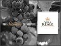 Villa Reale Wine